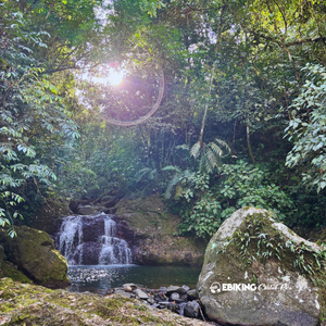 How an E-Bike Transforms Your Cycling Experience in Nature: A Story - Ebiking Costa Rica