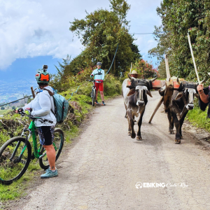 The Hidden Costa Rica You’ll Never See by Car — But an E-Bike Takes You There