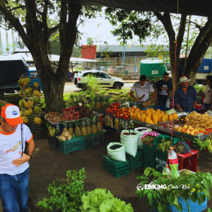 The Hidden Costa Rica You’ll Never See by Car — But an E-Bike Takes You There - Ebiking Costa Rica