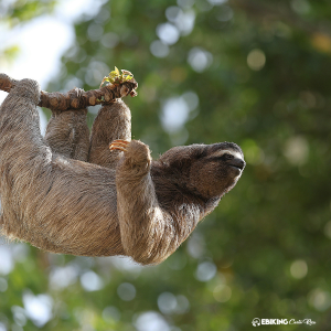 Slow Adventure in Costa Rica: A Different Way to Travel - Ebiking Costa Rica