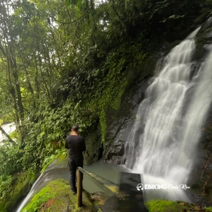 Catarata en el bosque lluvioso del Rio Pacuare